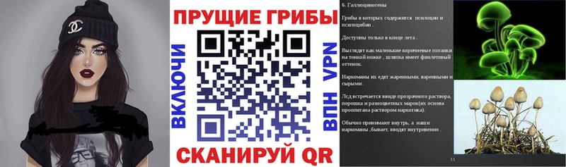 Купить закладки  Дно  Галлюциногенные грибы Cubensis 
